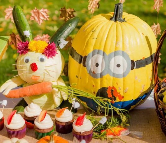 Proiecte arts and crafts de toamna pentru copii