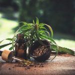 Cum se ia ulei de CBD? Care este doza corecta