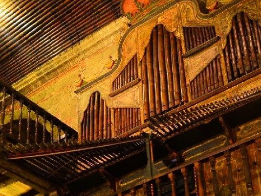 Filipine hispanice, anomalie de viata