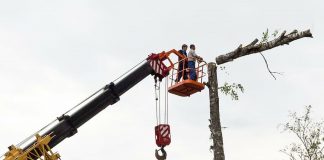 Realitatea fiecarui utilizator de lant de drujba este diferita. Iata de ce!